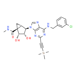 ChemSpider 2D Image | (1S,2R,3S,4R,5S)-4-{6-[(3-Chlorobenzyl)amino]-2-[(trimethylsilyl)ethynyl]-9H-purin-9-yl}-2,3-dihydroxy-N-methylbicyclo[3.1.0]hexane-1-carboxamide | C25H29ClN6O3Si