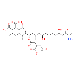 ChemSpider 2D Image | 2,2'-{[(5R,6R,7S,9S,11R,18S,19S)-19-Amino-11,16,18-trihydroxy-5,9-dimethyl-6,7-icosanediyl]bis[oxy(2-oxo-2,1-ethanediyl)]}disuccinic acid | C34H59NO15