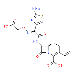 ChemSpider 2D Image | (6R)-7-({(2-Amino-1,3-thiazol-4-yl)[(carboxymethoxy)imino]acetyl}amino)-8-oxo-3-vinyl-5-thia-1-azabicyclo[4.2.0]oct-2-ene-2-carboxylic acid | C16H15N5O7S2