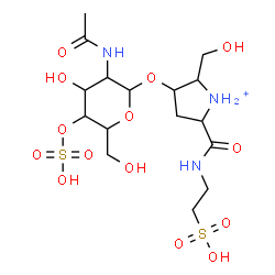 ChemSpider 2D Image | 2-(Hydroxymethyl)-5-[(2-sulfoethyl)carbamoyl]-3-pyrrolidiniumyl 2-acetamido-2-deoxy-4-O-sulfohexopyranoside | C16H30N3O14S2