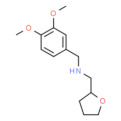 ChemSpider 2D Image | (3,4-Dimethoxy-benzyl)-(tetrahydro-furan-2-ylmethyl)-amine | C14H21NO3