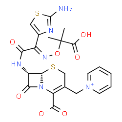 ChemSpider 2D Image | (6S,7S)-7-[[(2E)-2-(2-aminothiazol-4-yl)-2-(2-hydroxy-1,1-dimethyl-2-oxo-ethoxy)imino-acetyl]amino]-8-oxo-3-(pyridin-1-ium-1-ylmethyl)-5-thia-1-azabicyclo[4.2.0]oct-2-ene-2-carboxylate | C22H22N6O7S2