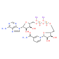 ChemSpider 2D Image | [[(2R,3S,4R,5R)-5-(6-aminopurin-9-yl)-3,4-dihydroxy-tetrahydrofuran-2-yl]methoxy-[[(2R,3S,4R,5R)-5-(3-carbamoyl-4H-pyridin-1-yl)-3,4-dihydroxy-tetrahydrofuran-2-yl]methoxy-sodiooxy-phosphoryl]oxy-phosphoryl]oxysodium | C21H27N7Na2O14P2