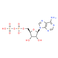 ChemSpider 2D Image | 5'-O-[(Sulfooxy)phosphinato]adenosine | C10H13N5O10PS