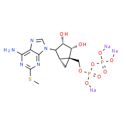 ChemSpider 2D Image | [[(1S,3S,4R,5R)-2-(6-amino-2-methylsulfanyl-purin-9-yl)-3,4-dihydroxy-5-bicyclo[3.1.0]hexanyl]methoxy-disodiooxyphosphoryloxy-phosphoryl]oxysodium | C13H16N5Na3O9P2S