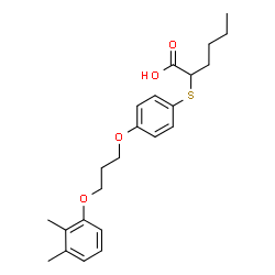 ChemSpider 2D Image | 2-({4-[3-(2,3-Dimethylphenoxy)propoxy]phenyl}sulfanyl)hexanoic acid | C23H30O4S