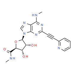 ChemSpider 2D Image | (2S,3S,4R,5R)-3,4-Dihydroxy-N-methyl-5-[6-(methylamino)-2-(2-pyridinylethynyl)-9H-purin-9-yl]tetrahydro-2-furancarboxamide | C19H19N7O4
