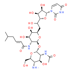 ChemSpider 2D Image | (2E)-N-[(2S,3R,4R,5R,6R)-2-{[(2R,3R,4S,5S,6S)-3-Acetamido-5-amino-4-hydroxy-6-(hydroxymethyl)tetrahydro-2H-pyran-2-yl]oxy}-6-{2-[(2R,3S,4R,5R)-5-(2,4-dioxo-3,4-dihydro-1(2H)-pyrimidinyl)-3,4-dihydroxy
tetrahydro-2-furanyl]-2-hydroxyethyl}-4,5-dihydroxytetrahydro-2H-pyran-3-yl]-5-methyl-2-hexenamide | C30H47N5O15