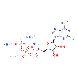 ChemSpider 2D Image | Tetraammonium 2-chloro-N-methyl-5'-O-({[(phosphonatooxy)phosphinato]oxy}phosphinato)adenosine | C11H29ClN9O13P3