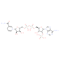 ChemSpider 2D Image | [[(2R,3R,4R)-5-(6-aminopurin-9-yl)-3-hydroxy-4-phosphonooxy-tetrahydrofuran-2-yl]methoxy-hydroxy-phosphoryl] [(2R,3S,4R)-5-(3-carbamoyl-4H-pyridin-1-yl)-3,4-dihydroxy-tetrahydrofuran-2-yl]methyl hydrogen phosphate | C21H30N7O17P3