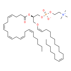 ChemSpider 2D Image | (2R)-2-[(4Z,7Z,10Z,13Z,16Z)-4,7,10,13,16-Docosapentaenoyloxy]-3-[(1Z,11Z)-1,11-octadecadien-1-yloxy]propyl 2-(trimethylammonio)ethyl phosphate | C48H84NO7P