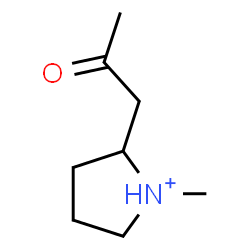 ChemSpider 2D Image | 1-Methyl-2-(2-oxopropyl)pyrrolidinium | C8H16NO