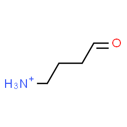 ChemSpider 2D Image | 4-Oxo-1-butanaminium | C4H8NO