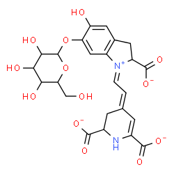 ChemSpider 2D Image | (4E)-4-{(2E)-2-[2-Carboxylato-6-(hexopyranosyloxy)-5-hydroxy-2,3-dihydro-1H-indolium-1-ylidene]ethylidene}-1,2,3,4-tetrahydro-2,6-pyridinedicarboxylate | C24H24N2O13