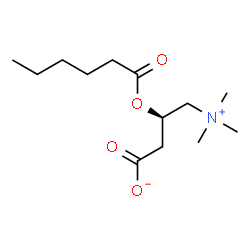 ChemSpider 2D Image | L-Hexanoylcarnitine | C13H25NO4