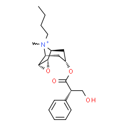 ChemSpider 2D Image | (1R,2R,4S,5S,7s)-9-Butyl-7-{[(2S)-3-hydroxy-2-phenylpropanoyl]oxy}-9-methyl-3-oxa-9-azoniatricyclo[3.3.1.0~2,4~]nonane | C21H30NO4