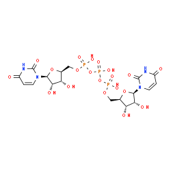 ChemSpider 2D Image | [[(2S,3R,4S,5S)-5-(2,4-dioxopyrimidin-1-yl)-3,4-dihydroxy-tetrahydrofuran-2-yl]methoxy-hydroxy-phosphoryl] [[(2R,3S,4R,5R)-5-(2,4-dioxopyrimidin-1-yl)-3,4-dihydroxy-tetrahydrofuran-2-yl]methoxy-hydroxy-phosphoryl] hydrogen phosphate | C18H25N4O20P3