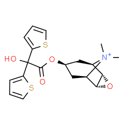 ChemSpider 2D Image | (1R,2R,4S,5R,7S)-7-[2-Hydroxy(di-2-thienyl)acetoxy]-9,9-dimethyl-3-oxa-9-azoniatricyclo[3.3.1.0~2,4~]nonane | C19H22NO4S2