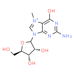 ChemSpider 2D Image | 2-Amino-7-methyl-6-oxo-9-(D-ribofuranosyl)-6,9-dihydro-1H-purin-7-ium | C11H16N5O5