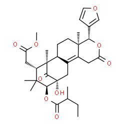 ChemSpider 2D Image | (1R,2S,5R,6R,13R,14S,16S)-6-(3-Furyl)-13-hydroxy-16-(2-methoxy-2-oxoethyl)-1,5,15,15-tetramethyl-8,17-dioxo-7-oxatetracyclo[11.3.1.0~2,11~.0~5,10~]heptadec-10-en-14-yl 2-methylbutanoate | C32H42O9