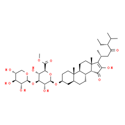 ChemSpider 2D Image | (3beta,5alpha,14beta,24R)-16-Hydroxy-15,23-dioxostigmast-16-en-3-yl methyl 3-O-beta-D-xylopyranosyl-beta-D-glucopyranosiduronate | C41H64O14