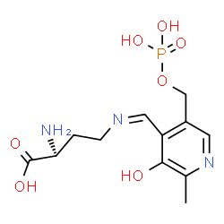 ChemSpider 2D Image | (2S)-2-Amino-4-[(Z)-({3-hydroxy-2-methyl-5-[(phosphonooxy)methyl]-4-pyridinyl}methylene)amino]butanoic acid | C12H18N3O7P