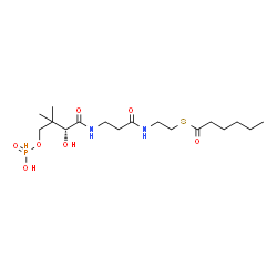 ChemSpider 2D Image | S-(2-{[N-(2-HYDROXY-4-{[HYDROXY(OXIDO)PHOSPHINO]OXY}-3,3-DIMETHYLBUTANOYL)-BETA-ALANYL]AMINO}ETHYL) HEXANETHIOATE | C17H33N2O7PS