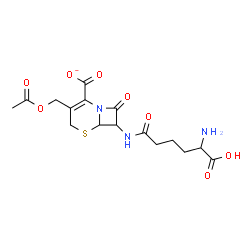 ChemSpider 2D Image | 3-(Acetoxymethyl)-7-[(5-amino-5-carboxypentanoyl)amino]-8-oxo-5-thia-1-azabicyclo[4.2.0]oct-2-ene-2-carboxylate | C16H20N3O8S