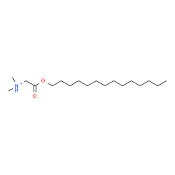 ChemSpider 2D Image | N,N-Dimethyl-2-oxo-2-(tetradecyloxy)ethanaminium | C18H38NO2