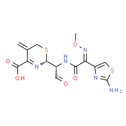 ChemSpider 2D Image | (2R)-2-[(1R)-1-{[(2Z)-2-(2-Amino-1,3-thiazol-4-yl)-2-(methoxyimino)acetyl]amino}-2-oxoethyl]-5-methylene-5,6-dihydro-2H-1,3-thiazine-4-carboxylic acid | C14H15N5O5S2