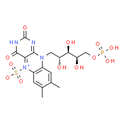 ChemSpider 2D Image | N-SULFO-FLAVIN MONONUCLEOTIDE | C17H21N4O12PS