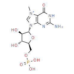 ChemSpider 2D Image | 2-Amino-7-methyl-6-oxo-9-(5-O-phosphono-alpha-L-arabinofuranosyl)-6,9-dihydro-1H-purin-7-ium | C11H17N5O8P