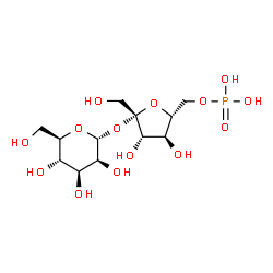 ChemSpider 2D Image | 6-O-Phosphono-beta-D-fructofuranosyl alpha-D-mannopyranoside | C12H23O14P