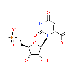 ChemSpider 2D Image | 6-Carboxylato-5'-O-phosphonatouridine | C10H10N2O11P