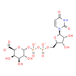ChemSpider 2D Image | (2S,3R,4S,5R,6R)-6-({[({[(2R,3S,4R,5R)-5-(2,4-Dioxo-3,4-dihydro-1(2H)-pyrimidinyl)-3,4-dihydroxytetrahydro-2-furanyl]methoxy}phosphinato)oxy]phosphinato}oxy)-3,4,5-trihydroxytetrahydro-2H-pyran-2-carb
oxylate | C15H19N2O18P2