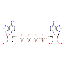 ChemSpider 2D Image | [[(2R,3S,4R,5R)-5-(6-aminopurin-9-yl)-3,4-dihydroxy-tetrahydrofuran-2-yl]methoxy-oxido-phosphoryl] [[[(2R,3S,4R,5R)-5-(6-aminopurin-9-yl)-3,4-dihydroxy-tetrahydrofuran-2-yl]methoxy-oxido-phosphoryl]oxy-oxido-phosphoryl] phosphate | C20H24N10O19P4