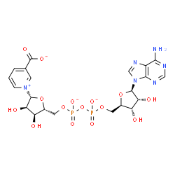 ChemSpider 2D Image | 1-[(2R,3R,4S,5R)-5-[[[[(2R,3S,4R,5R)-5-(6-aminopurin-9-yl)-3,4-dihydroxy-tetrahydrofuran-2-yl]methoxy-oxido-phosphoryl]oxy-oxido-phosphoryl]oxymethyl]-3,4-dihydroxy-tetrahydrofuran-2-yl]pyridin-1-ium-3-carboxylate | C21H24N6O15P2