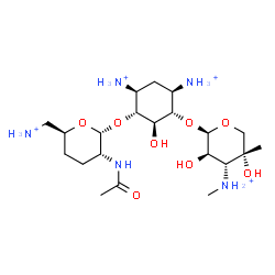ChemSpider 2D Image | (1R,2S,3S,4R,6S)-4,6-Diammonio-3-{[3-deoxy-4-C-methyl-3-(methylammonio)-beta-L-arabinopyranosyl]oxy}-2-hydroxycyclohexyl 2-acetamido-6-ammonio-2,3,4,6-tetradeoxy-alpha-D-erythro-hexopyranoside | C21H45N5O8