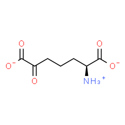 ChemSpider 2D Image | (2S)-2-Ammonio-6-oxoheptanedioate | C7H10NO5