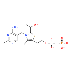 ChemSpider 2D Image | Thiazolium, 3-[(4-amino-2-methyl-5-pyrimidinyl)methyl]-2-(1-hydroxyethyl)-5-[2-[[hydroxy(phosphonooxy)phosphinyl]oxy]ethyl]-4-methyl-, inner salt, ion(2-) | C14H20N4O8P2S