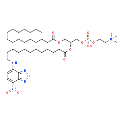 ChemSpider 2D Image | (7R)-4-Hydroxy-N,N,N-trimethyl-7-({12-[(7-nitro-2,1,3-benzoxadiazol-4-yl)amino]dodecanoyl}oxy)-10-oxo-3,5,9-trioxa-4-phosphapentacosan-1-aminium 4-oxide | C42H75N5O11P