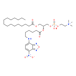 ChemSpider 2D Image | (7R)-4-Hydroxy-N,N,N-trimethyl-7-({6-[(7-nitro-2,1,3-benzoxadiazol-4-yl)amino]hexanoyl}oxy)-10-oxo-3,5,9-trioxa-4-phosphapentacosan-1-aminium 4-oxide | C36H63N5O11P