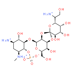 ChemSpider 2D Image | (1R,2R,3S,4R,6S)-4-Ammonio-2-{[(2R,3'R,3aS,4S,4'S,5'R,6R,6'R,7S,7aS)-6'-[(1S)-1-ammonio-2-hydroxyethyl]-3',4',5',7-tetrahydroxy-6-(hydroxymethyl)octahydro-4H-spiro[1,3-dioxolo[4,5-c]pyran-2,2'-pyran]-
4-yl]oxy}-3-hydroxy-6-(methylammonio)cyclohexyl phosphate | C20H39N3O16P