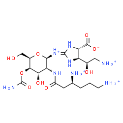 ChemSpider 2D Image | (4S,5S)-4-[(1R)-2-Ammonio-1-hydroxyethyl]-2-{[(2R,3R,4S,5R,6R)-5-(carbamoyloxy)-3-{[(3S)-3,6-diammoniohexanoyl]amino}-4-hydroxy-6-(hydroxymethyl)tetrahydro-2H-pyran-2-yl]ammonio}-4,5-dihydro-1H-imidaz
ole-5-carboxylate | C19H39N8O9