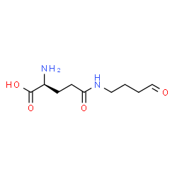 ChemSpider 2D Image | N-(4-Oxobutyl)-L-glutamine | C9H16N2O4