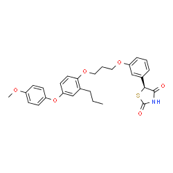 ChemSpider 2D Image | (5S)-5-(3-{3-[4-(4-Methoxyphenoxy)-2-propylphenoxy]propoxy}phenyl)-1,3-thiazolidine-2,4-dione | C28H29NO6S