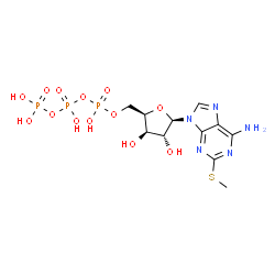 ChemSpider 2D Image | [[(2R,3R,4R,5R)-5-(6-amino-2-methylsulfanyl-purin-9-yl)-3,4-dihydroxy-tetrahydrofuran-2-yl]methoxy-hydroxy-phosphoryl] phosphono hydrogen phosphate | C11H18N5O13P3S