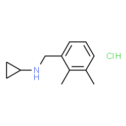 ChemSpider 2D Image | N-(2,3-Dimethylbenzyl)cyclopropanamine hydrochloride (1:1) | C12H18ClN