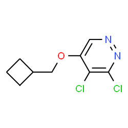 ChemSpider 2D Image | 3,4-Dichloro-5-(cyclobutylmethoxy)pyridazine | C9H10Cl2N2O