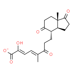 ChemSpider 2D Image | (1E,2Z)-3-hydroxy-5,9,17-trioxo-4,5:9,10-disecoandrosta-1(10),2-dien-4-oate | C19H23O6